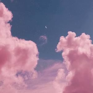 Meet your Posher, Violet